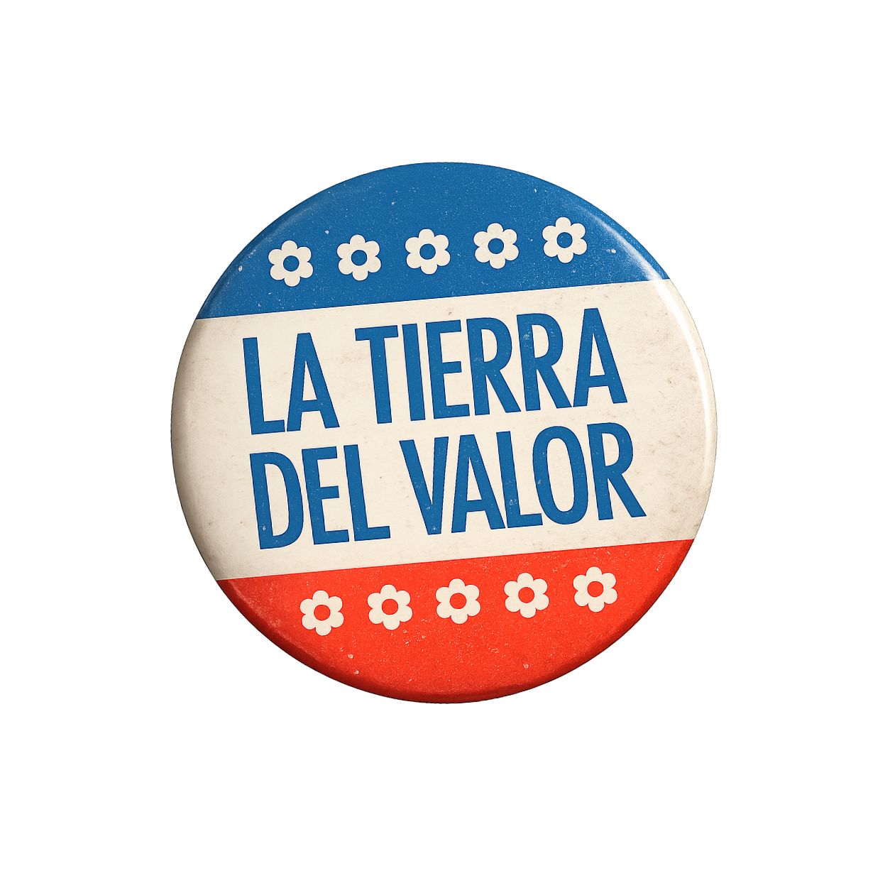 LA TIERRA DE VALOR PIN PACK
